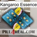 Kangaroo Essence cialis5